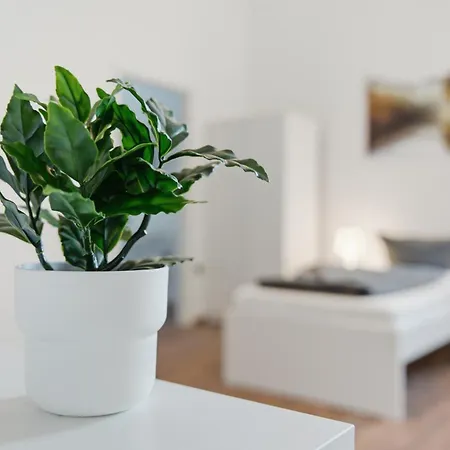 Bege Crewcomfort Apartament *